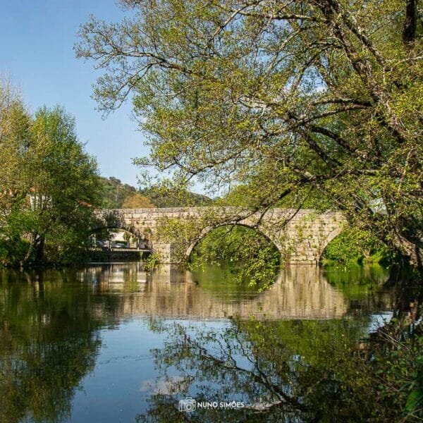 Ponte que une histórias